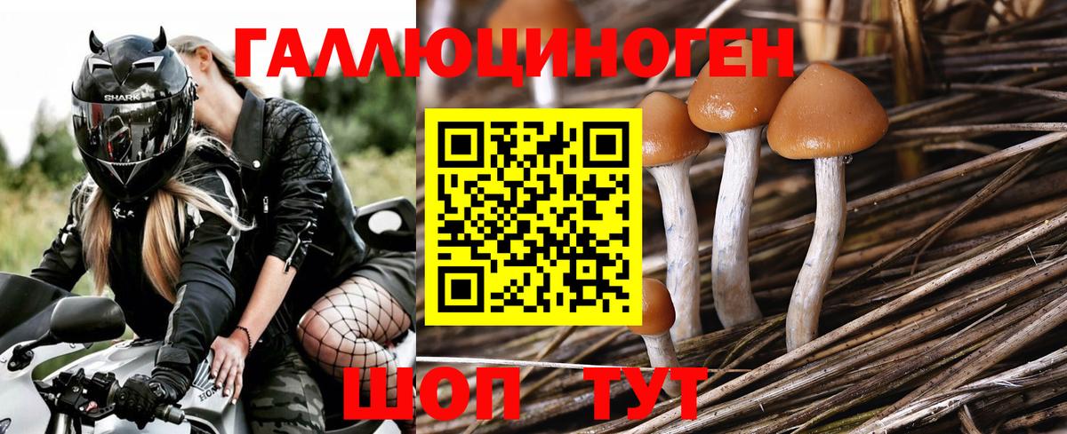 Галлюциногенные грибы прущие грибы  Вход с VPN  Псилоцибиновые грибы ЛСД  Малгобек 
