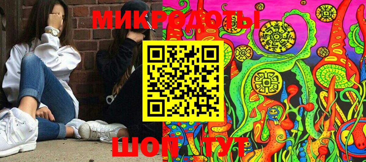 Псилоцибиновые грибы Psilocybine cubensis Малгобек